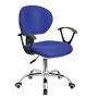 Executive Office Chair (4002B)